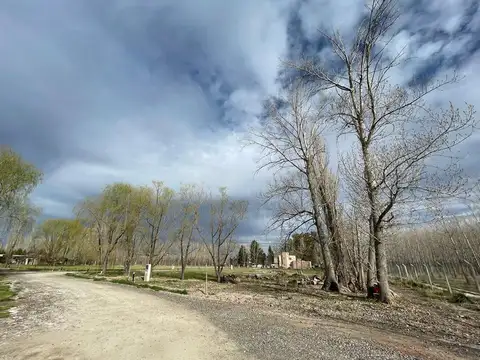 Terreno en Venta en General Roca, USD 42.000