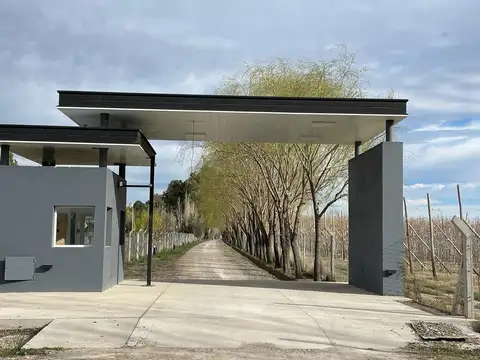 Cerro Tronador 2600 Ruta 22,  General Roca