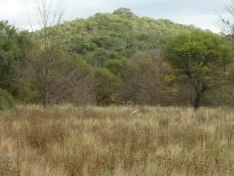 MAGNIFICAS HECTÁREAS EN SAN HUBERTO C/ESCRITURA
