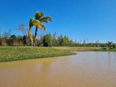 Lotes en venta - Alamos del Parana - Delta