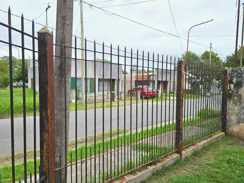 115 bis y 517