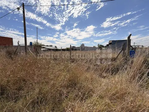 SANTA ANA 100