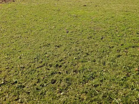 Terreno en Venta en Parque Jularó, USD 41.000