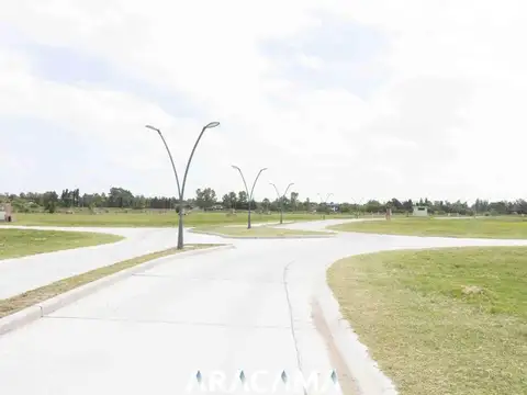 Los Naranjos 2