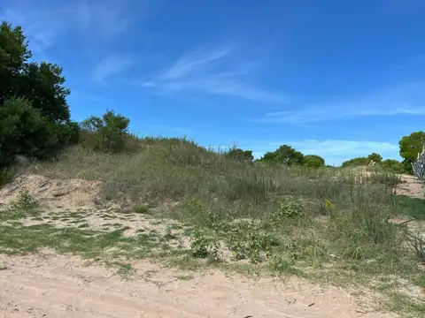 Senderos IV 300