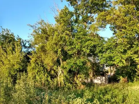 Terreno en Venta en Arturo Segui, USD 10.000