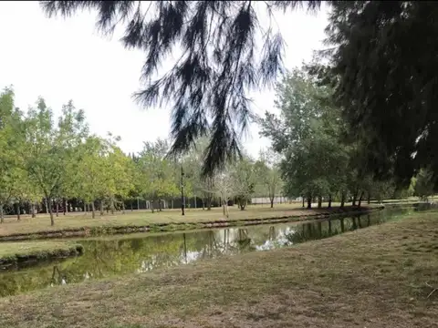 Terreno en Venta de 1000,0 m2