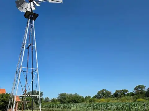 Venta campo agricola con casa y galpon 118 HAS CNO60 cuadras