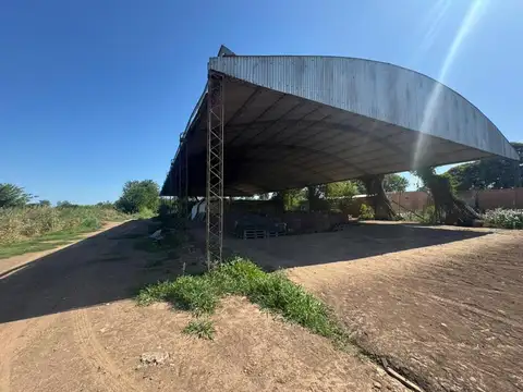 Campo en Venta de 118  ha