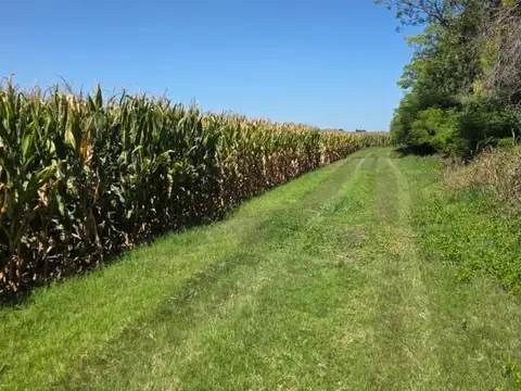 Campo en Venta de 118  ha