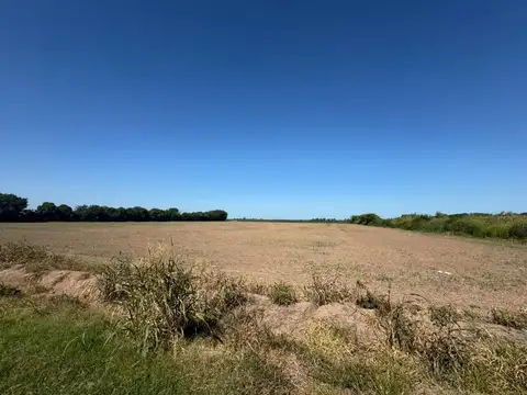Campo en Venta Agrícola