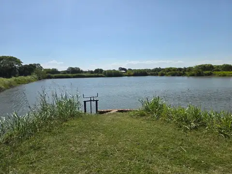 Campo en Venta Agrícola