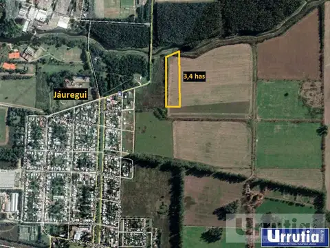 Campo - Jauregui Jose Maria