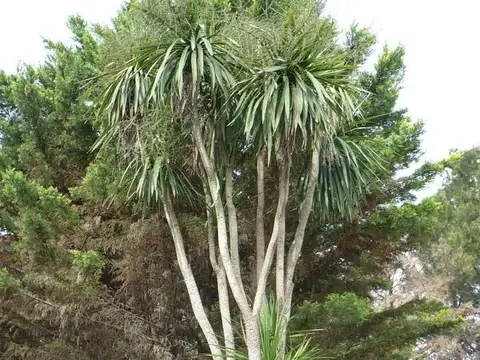 Venta Casa quinta con Pileta en Loma Verde, Escobar