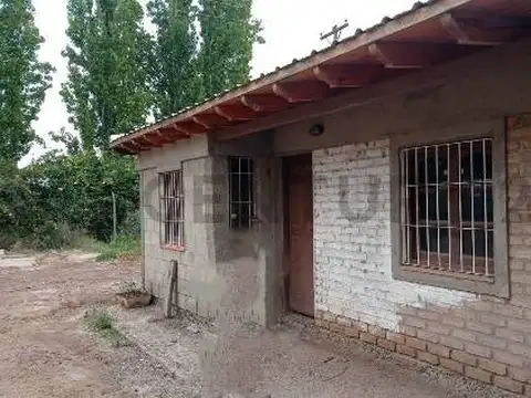 Finca Productiva en venta en Mendoza Maipu
