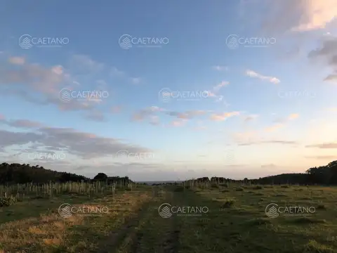 Casa en Alquiler Temporal en Punta del Este, USD 7.500