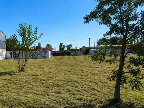 Avenida Derqui , Piso 0