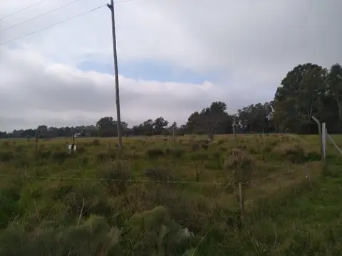 Terreno en Venta en Los Talas, USD 30.000