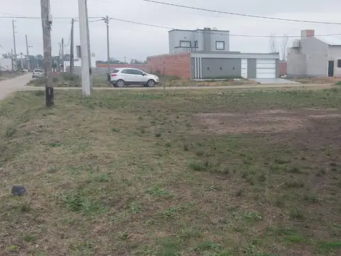 58 bis y 175  La Plata