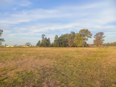 Terreno en venta - 140.000Mts2 - San Andrés de Giles