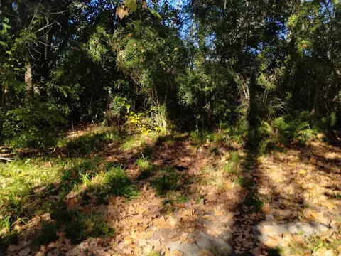 Terreno Lote  en Venta en Caraguatá, Zona Delta, Tigre