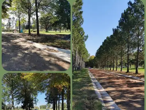 Terreno en Venta de 375,0 m2