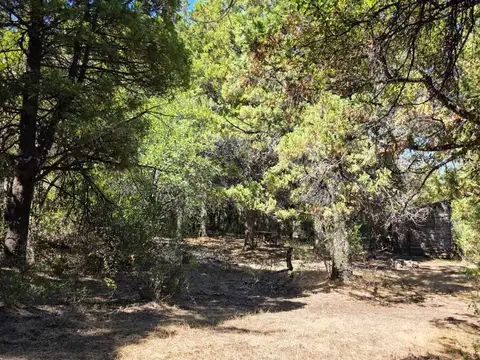 Campo C° Saturnino M,allin Ahogado