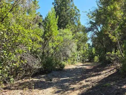 Terreno en Venta de 50000,0 m2