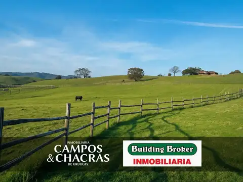 Campo en venta de 82 Has., cerca de  ruta 9 y a 7 Km de la ciudad de Rocha