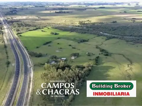 Campo en venta de 82 Has., cerca de  ruta 9 y a 7 Km de la ciudad de Rocha