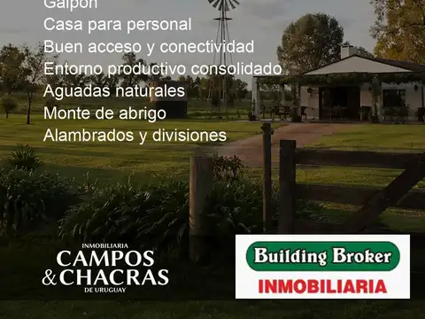 Campo en Venta de 82  ha