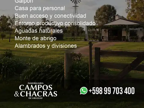 Campo en Venta de 82  ha