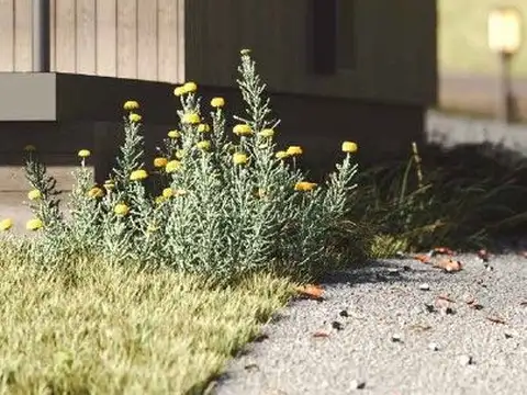 Casa en Venta 1 año