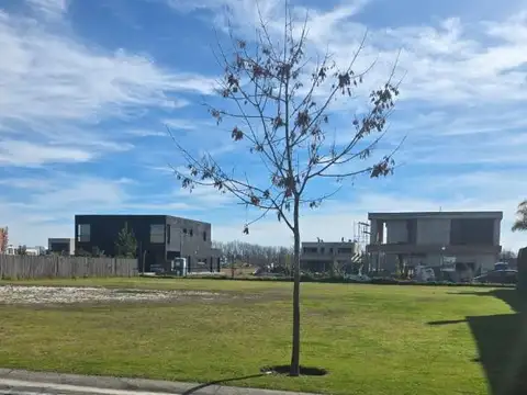 Av De Los Lagos 100