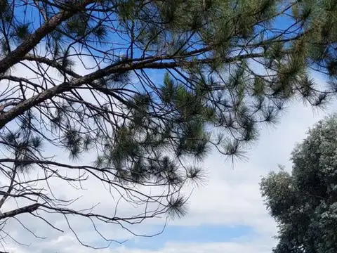 MZ 22 LT 15 SEC A 100