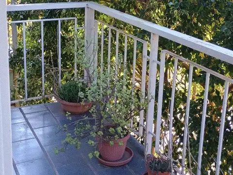 Departamento en Venta en Barrio Norte, USD 125.000