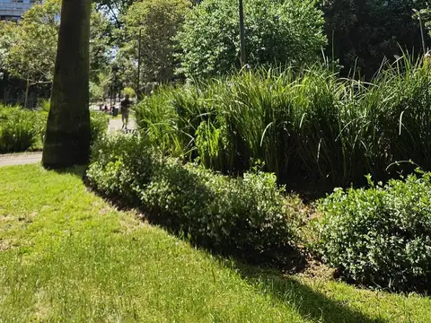 Oficina en Venta en San Nicolás, USD 18.593.200