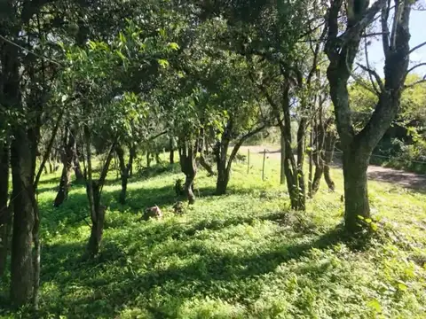 PREVENTA  LOTE  CON ESCRITURA CAMINO DE CUADRADO