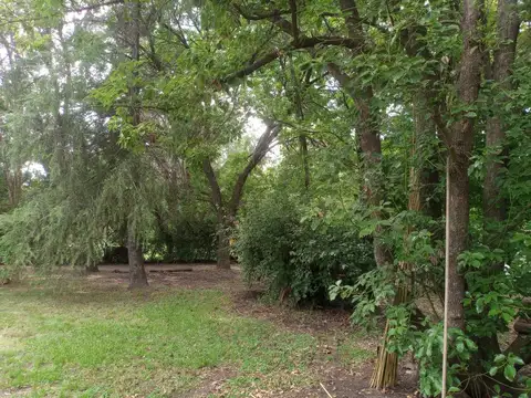 Quinta en Alquiler Temporal en Parada Robles, USD 1.000