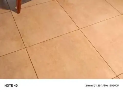 Olga Cossettini 1540