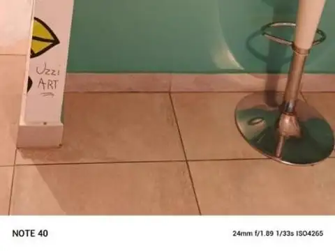 Olga Cossettini 1540