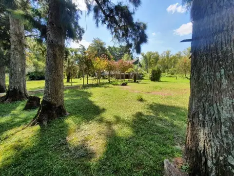 Rio Paraná de las Palmas - 2da Sección - islas de San Fernando