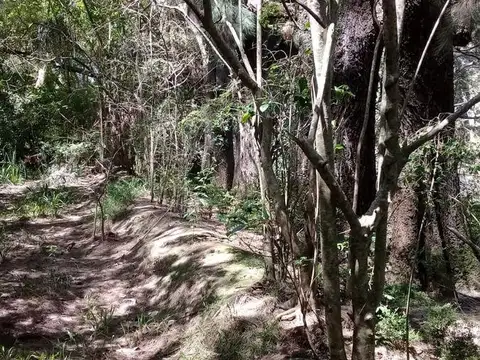Terreno Lote  en Venta en Carapachay, Zona Delta, Tigre