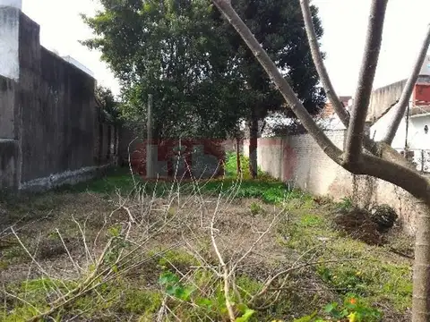 Marcos Larrea 300