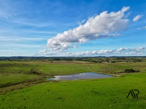 Chacras de 3ha/61 ha en Garzón, con caminería y luz en la portera.