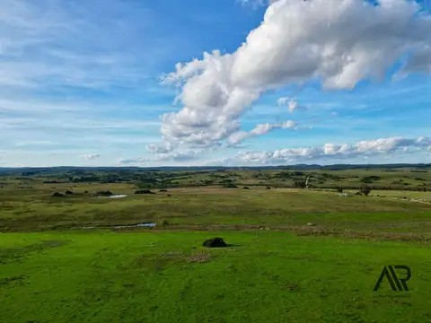 Chacras de 3ha/61 ha en Garzón, con caminería y luz en la portera.