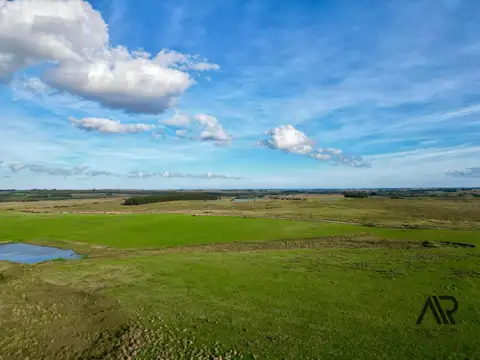 Chacras de 3ha/61 ha en Garzón, con caminería y luz en la portera.