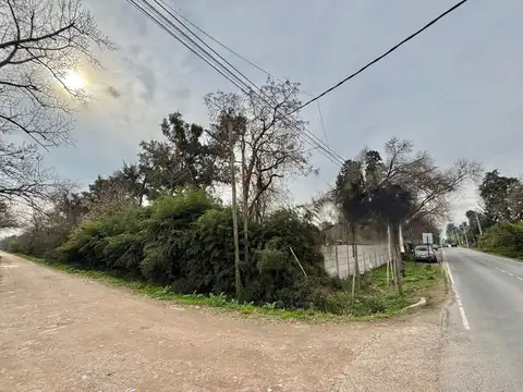 VENTA LOTE 5000 M2 PILAR PILARÁ A/COMERCIAL 