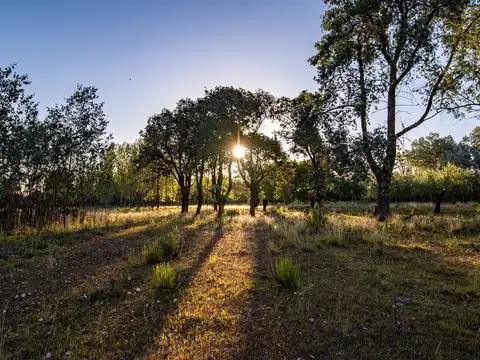 Terreno en Venta en Manuel Alberti, USD 341.250