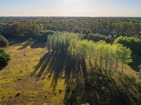 Terreno en Venta de 954,0 m2